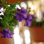 Sea Breeze ホテル マスティハリ