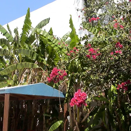 Sea Breeze Mastihari
