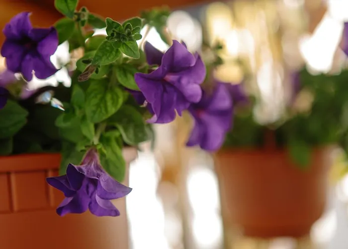 Sea Breeze Otel Mastichari (Kos)