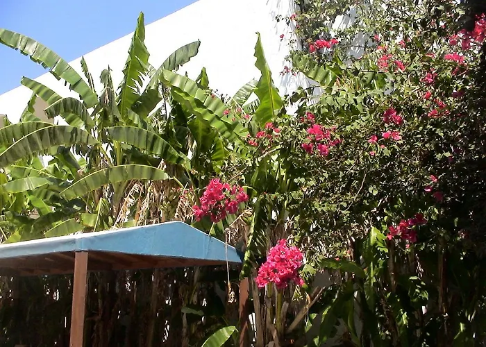 Sea Breeze Mastichari (Kos)